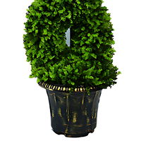 Haute Qualité 120cm 150cm En Plastique Faux Buis Arbre Artificiel Bonsaï Arbres pour La Maison Hall Jardin Décoration