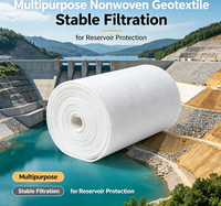 Géotextile non tissé multifonctionnel pour une filtration stable et la protection des réservoirs