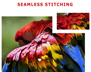 NOUVEAU Design A3 A4 affiche cadre vente boîte à lumière signe conseil agent suspendu vitrine led fenêtre affichage immobilier led panneau - Product Image 6