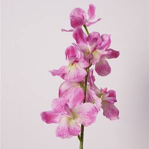 <span class=keywords><strong>Orquídea</strong></span> Vanda de Tacto Real, Flor Artificial de Tallo Único para Decoración de Hogar de Lujo, Diseño de Interiores, Accesorios de Fotografía de Bodas, Venta al por Mayor - Product Image 1