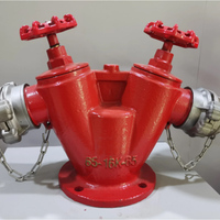 Hydrant d'incendie extérieur Taikong 2 voies en acier inoxydable et fonte ductile rouge DN150, type pilier à double sortie 1,6 MPa, personnalisable