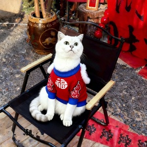 Ropa de invierno para perros, suéter tejido para gatos, atuendo festivo grueso para Bulldog Francés y Bichón, disponible en fábrica. - Product Image 3