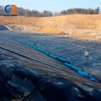 Membrane géotextile HDPE/EVA pour la protection de l'environnement - Anti-infiltration, non toxique, forte stabilité chimique pour bassin, barrage, étang à poissons