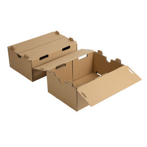 Boîte d'expédition en carton pour fruits (pommes, oranges, tomates, bananes, myrtilles, fraises, cerises) – Conception personnalisée FPG - Product Image 6