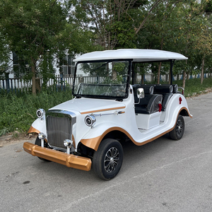 Carrito Eléctrico HKBG Strong Power BrightGal de 8 Plazas, Estilo Vintage Chino - Product Image 4