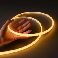 Éclairage de placard, néon fin 5*3mm, 24V, IP65, 3000K, 4000K, 6500K, blanc unique, flexible, découpe libre, étanche, néon LED pour extérieur et intérieur