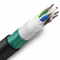 Câble à fibre optique GYFTY53 de haute qualité, non métallique, avec renfort en PRF, double gaine blindée, pour enterrage direct en extérieur