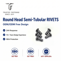 Rivets semi-tubulaires à tête ronde en cuivre TianFang pour supports de roues de bagages, finition étamée, approvisionnement stable en lot