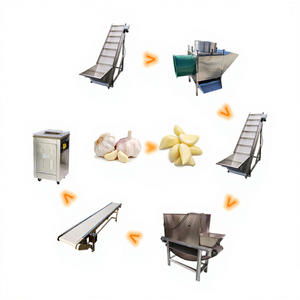 เครื่องแยกกระเทียมและหัวหอมอัตโนมัติรุ่นใหม่ YN สำหรับใช้ในเชิงพาณิชย์ พร้อมเครื่องปอกเปลือกและทำผงกระเทียม สายการผลิตแบบครบวงจร มอเตอร์ 220V/380V รับประกัน 2 ปี - Product Image 1