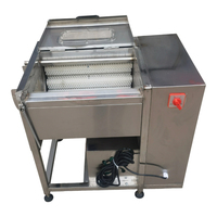 Éplucheur de pommes de terre, machine à éplucher et à nettoyer multifonction de type brosse pour radis et patates douces, machine à nettoyer les légumes