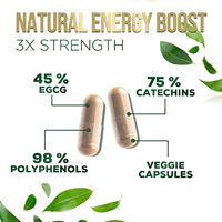 Capsules de thé vert matcha végétalien en gros – Antioxydant beauté, brûle-graisse, amincissant – Compléments alimentaires à l'extrait de thé vert pour femmes