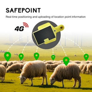 Bán Buôn Hcs048 <span class=keywords><strong>Mini</strong></span> Ánh Sáng Năng Lượng Mặt Trời Powered 4G <span class=keywords><strong>GPS</strong></span> Bò Và Cừu Động Vật Tai Tag Nhựa Thiết Bị Theo Dõi Cho Gia Súc - Product Image 3