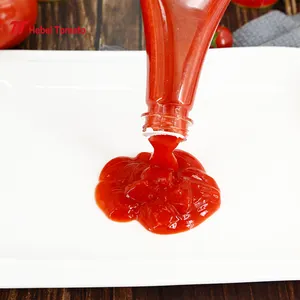 Diskon besar merek OEM pasta tomat botol plastik saus tomat 340g