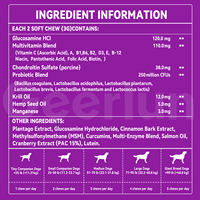 Vente en gros OEM : Nutrition pour animaux de compagnie – 6 Probiotiques, Friandises à mâcher pour la santé intestinale, Multivitamines 15-en-1 à croquer pour le soin de la peau des chiens