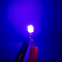 Longueur d'onde personnalisée 557 carré DIP LED 5mm 460nm 520nm 585nm 600nm 620nm rouge orange bleu pour l'affichage et l'utilisation des indicateurs