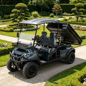 <span class=keywords><strong>Voiture</strong></span> de golf électrique homologuée pour la route, 6 places, alimentée au lithium, chariot de golf tout-terrain, buggy de golf pour les centres de villégiature, les fermes et les villas privées - Product Image 3