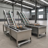 RVS gaasbandtransportband voor voorwas- en hefwerken in de fruit- en groenteproductielijn