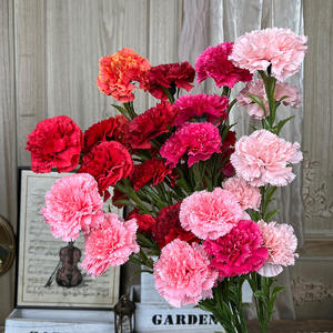 Alta calidad, 70cm, tela de seda de 5 cabezas, flores artificiales de clavel, <span class=keywords><strong>claveles</strong></span> blancos y rosas para la decoración de la boda del hogar del Día de la madre - Product Image 3