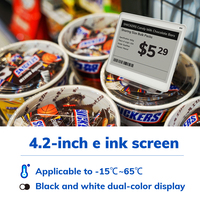 Étiquette électronique MinewTag 4,2 pouces, mince, à double tonalité, écran E-Paper, rafraîchissement rapide, sans fil, pour supermarché/entrepôt/bureau, ABS