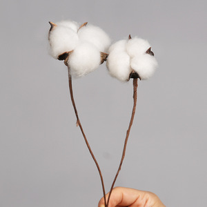 Bouquet de fleurs séchées en coton naturel, longues branches, accessoires décoratifs blancs pour la maison, l'hôtel, la photographie de mariage - Product Image 2