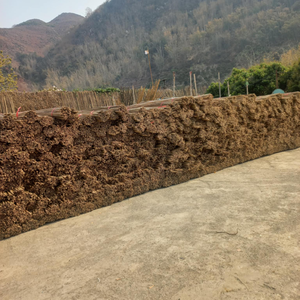 Wholesale Eco-Friendly Natural <b>Bamboo</b> Garden Stakes Cheap <b>Bamboo</b> Plant Supports for Agriculture Made <b>Bamboo</b> Raw Materials <b>Strips</b> - Product Image 2