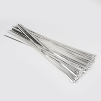 Vente directe d'usine en Chine attaches zippées SS 250mm attache de câble autobloquante Support en acier inoxydable OEM disponible échantillon gratuit