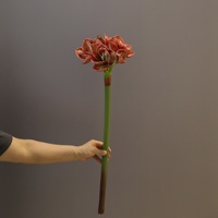Bunga Clivia Amaryllis PU Berkualitas Tinggi, Tangkai Tunggal, untuk Dekorasi Rumah, Fotografi Pernikahan, dan Acara