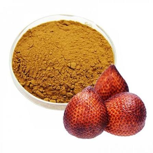 Polvo de Aguaje Premium de Grado Alimenticio, Secado Naturalmente, Finamente Molido, Superafruta Amazónica para Smoothies, Extracto Herbal - Product Image 5