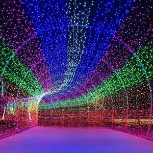 ไฟ LED RGB พิกเซล สายสีดำ ควบคุมผ่านแอพ สมาร์ท 10 เมตร 100 หลอด LED IP65 พลาสติก เชื่อมต่อได้ 100 เมตร ใช้ภายนอกได้ ตกแต่งสวน งานปาร์ตี้ - Product Image 4