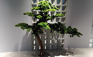 Árbol <span class=keywords><strong>de</strong></span> Pino Bonsái Artificial <span class=keywords><strong>de</strong></span> <span class=keywords><strong>Cedro</strong></span>, Anti-UV, Grande, para Interiores/Exteriores, Personalizable, OEM, ODM, Podocarpus, Directo <span class=keywords><strong>de</strong></span> Fábrica - Product Image 3