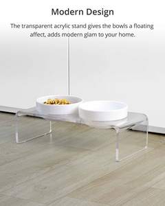Tilted yükseltilmiş gıda ve su kaseler kedi veya küçük köpekler için standı köpeğin şeffaf akrilik seramik kaplar tutucu - Product Image 6