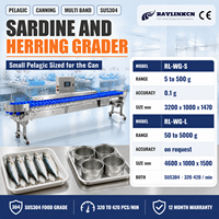 Mesin Grading Bobot Kapasitas Tinggi Stainless Steel 304 Load Cell Presisi Tinggi Ikan Sarden Ikan Kembung Akurasi 0,1 Gram