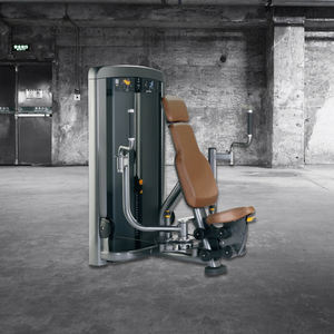 Macchina pettorale <span class=keywords><strong>per</strong></span> Body Building, - Product Image 6