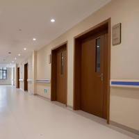 Porte médicale en bois Yonking avec panneau de vision et plaque de protection pour hôpitaux, cliniques et salles d'hôpital