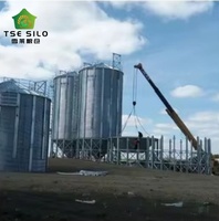 Silo à grain en acier à fond trémie personnalisé avec contrôle automatique PLC pour les projets mondiaux de transformation des aliments