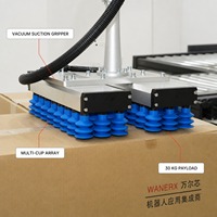 Robot palettiseur pour l'emballage de cartons de 30 kg, pour la manutention de cartons et le chargement de palettes en entrepôt