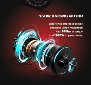 Электровелосипед Fatbike 2025 UpgradeRevibikes Power Vintage с рамой из сплава, 48В 750Вт, гидравлические дисковые тормоза, две литиевые батареи - Product Image 3