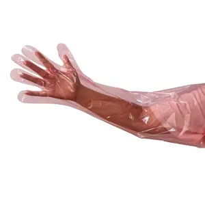 一次性透明检查安全兽医手术检查手套