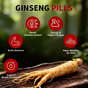 OEM ODM Marca Privada Cápsulas de Raiz de <span class=keywords><strong>Ginseng</strong></span> Suplemento para Aumento de Apetite e Ganho de Peso Saúde Intestinal Cápsulas de <span class=keywords><strong>Ginseng</strong></span> Certificadas GMP - Product Image 2
