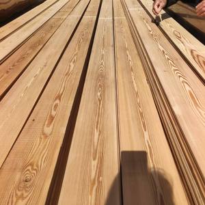 Troncos de Alerce Siberiano de Origen Ruso, Madera Sólida Natural para Construcción, Venta al por Mayor - Product Image 1