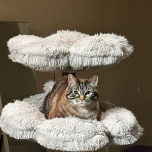 Grauer Luxuriöser Moderner Katzenkratzbaum Turm aus Holz, Blumen-Katzenbaum aus Holz, Floraler Katzenkletterbaum Turm zum Kratzen für Weihnachten - Product Image 4