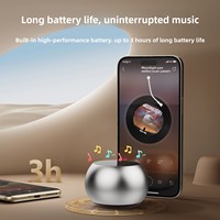 Haut-parleur sans fil pour subwoofer métallique, mini son, grand volume, stéréo portable d'extérieur