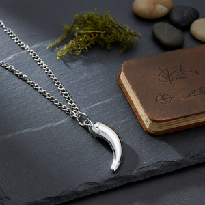 Ciondolo Amuleto a Corno con Catena, Collana alla Moda in Tono Argento - Product Image 3