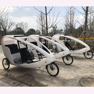 Triciclo Elettrico a Pedalata Assistita a 6 Velocità per 2 Passeggeri, Sedile Reclinabile, Batteria Automatica, Produttore Cinese - Product Image 6