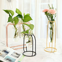 Support de plante en métal hydroponique maison jardin bureau décoration de mariage station de propagation colorée