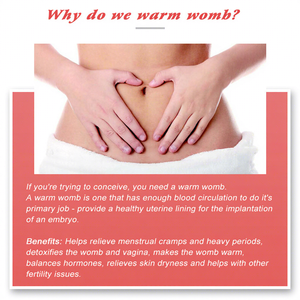 Tè alle Erbe Biologico Aromatizzato <span class=keywords><strong>per</strong></span> la Fertilità, Detox Uterino, Equilibrio Ormonale e Benessere Femminile in Bustina - Product Image 4