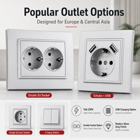 Enchufe de Pared Estándar Europeo DepoGuye (220V) Plateado, Tomacorriente Europeo con Puerto USB, Panel de Interruptores de PC Ignífugo