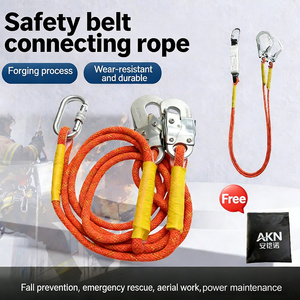 2026 Industrial Fall Protection <strong>Harness</strong> Polyester High Strength Comfortable Fit Shock Absorbing Lanyard Connecting Rope for - Product Image 3