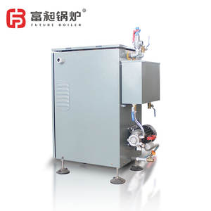 Generador de Vapor Eléctrico Automático Vertical de Tubos de Fuego de Circulación Natural de 36 kW para Uso Industrial de Baja Presión - Product Image 2