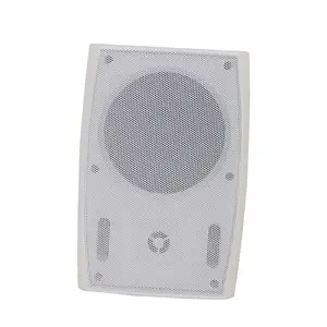 Geluidssysteem Muur Speaker Professionele Pa 110V Muur Luidspreker